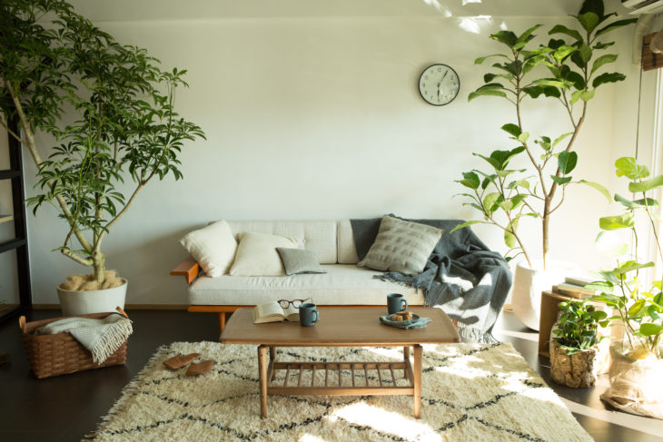 岡山市、倉敷市、津山市、玉野市、笠岡市、井原市、総社市、高梁市、新見市、備前市、瀬戸内市、赤磐市、真庭市、美作市、浅口市、香川、高松市、丸亀市、坂出市、善通寺市、観音寺市、さぬき市、東かがわ市、三豊市、小豆、創拓、家、住宅、リフォーム、リノベーション、修繕、修理、改築、改装、新築、中古、スケルトン、 シック、レトロ、ヴィンテージ、モダン、シンプル、北欧、南欧、リゾート、自然、日本、和風、 海、ビーチ、サーフィン、ハンモック、 植物、緑、カフェ、モデルルーム、完成見学会、