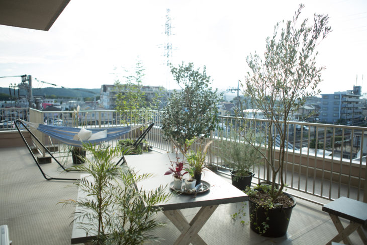 ベランダ、カフェ、緑、植物、早起き、朝岡山市、倉敷市、津山市、玉野市、笠岡市、井原市、総社市、高梁市、新見市、備前市、瀬戸内市、赤磐市、真庭市、美作市、浅口市、香川、高松市、丸亀市、坂出市、善通寺市、観音寺市、さぬき市、東かがわ市、三豊市、小豆、創拓、家、住宅、リフォーム、リノベーション、修繕、修理、改築、改装、新築、中古、スケルトン、 シック、レトロ、ヴィンテージ、モダン、シンプル、北欧、南欧、リゾート、自然、日本、和風、 海、ビーチ、サーフィン、ハンモック、 モデルルーム、完成見学会、