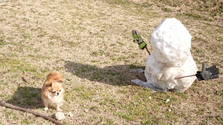 雪解け。取り残されたゆきだるま