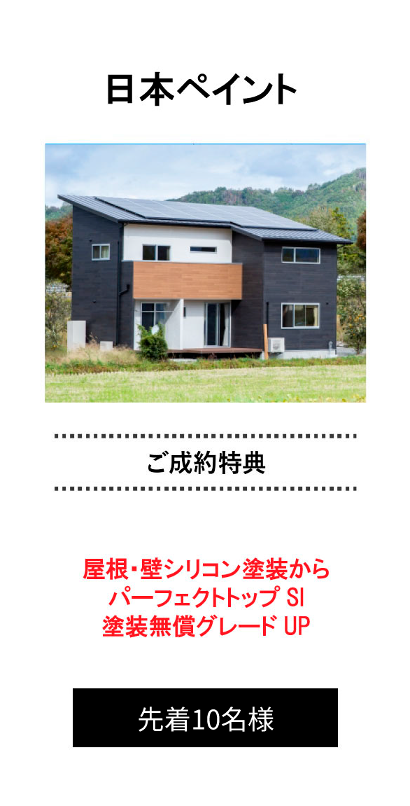 日本ペイント 特典